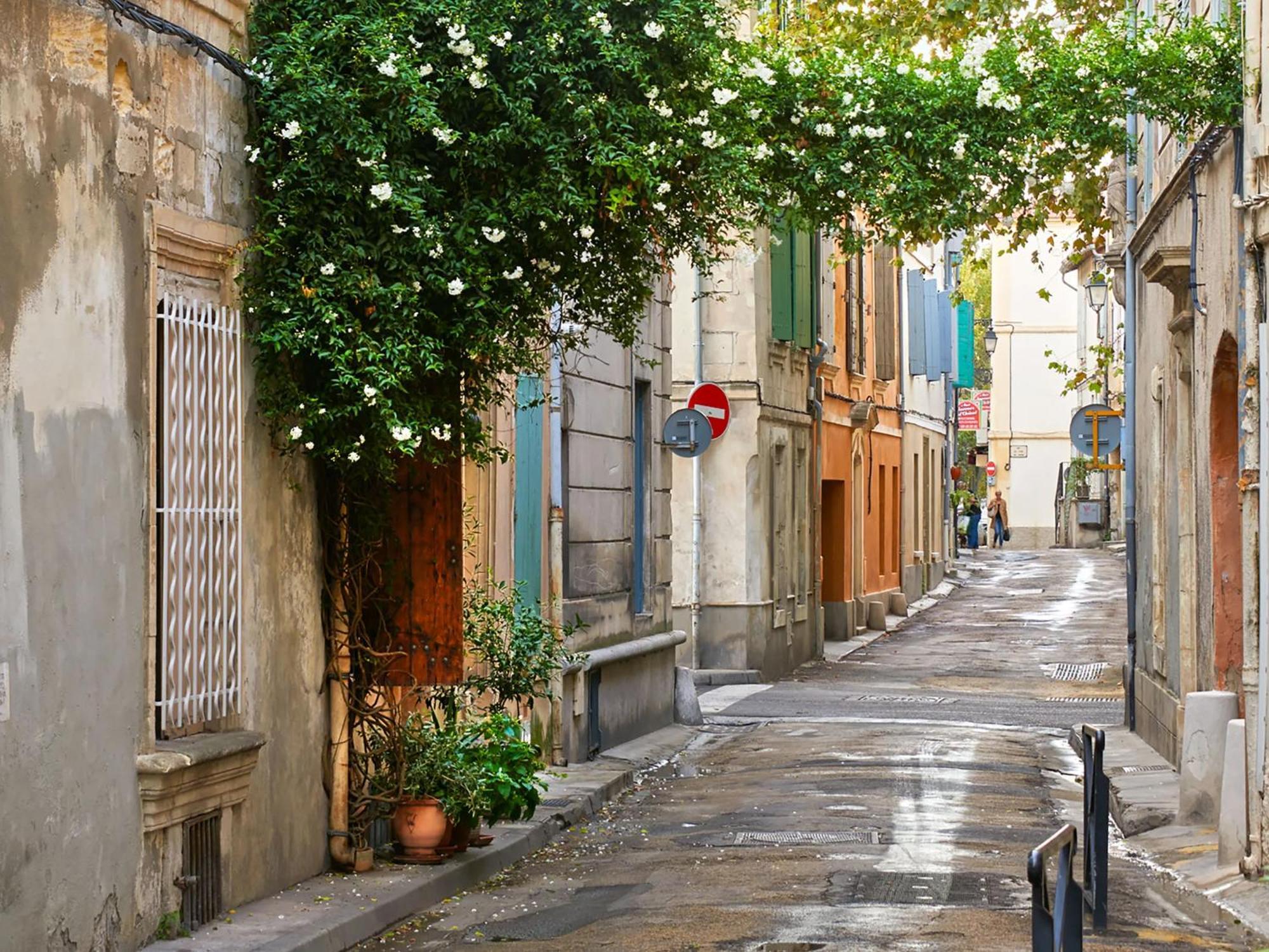 Hebergements Modernes & Cosy A Arles T3 Et T2 Elegants المظهر الخارجي الصورة